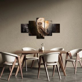 Obraz sowy palonej (125x70 cm)