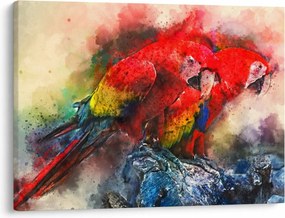 Obraz czerwonych papug Ara (70x50 cm)