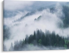 Obraz - Drzewa we mgle (70x50 cm)