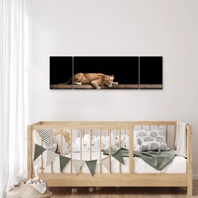 Obraz - Lwica (170x50 cm)