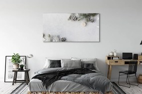 Obraz na płótnie Gałązki i Szyszki