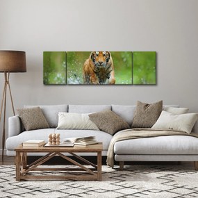 Obraz - Biegnący tygrys (170x50 cm)