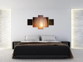 Obraz jesiennego lasu we mgle (125x70 cm)
