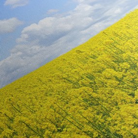 Obraz żółtego pola (170x50 cm)