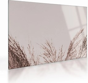 Obraz na szkle - Suszona trawa (70x50 cm)