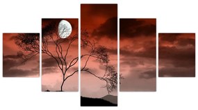 Obraz - Księżyc oświetlający noc (125x70 cm)