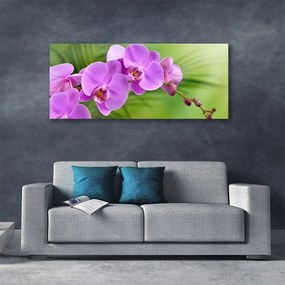 Obraz Canvas Storczyk Orchidea Kwiaty