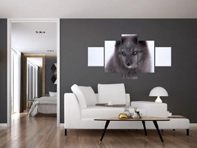 Obraz lisa śnieżnego (125x70 cm)