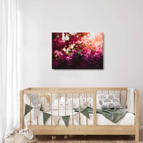 Obraz na szkle - kwiaty malwy (70x50 cm)