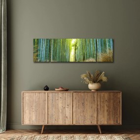 Obraz - Alejka z bambusami (170x50 cm)