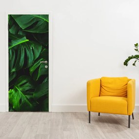 Fototapeta na drzwi - Liście monstery (95x205cm)