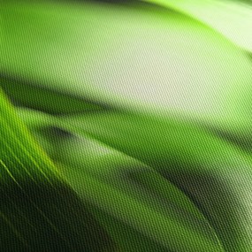 Obraz - Źdźbło trawy (170x50 cm)