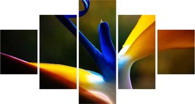 Obraz - Egzotyczny kwiat (125x70 cm)