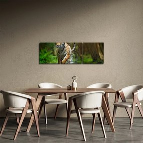 Obraz biegnącego tygrysa (z zegarem) (90x30 cm)