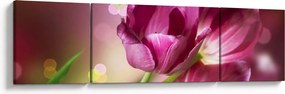 Obraz różowych tulipanów (170x50 cm)