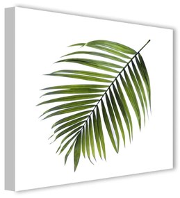 Obraz Styler Canvas Greenery Black Palm, 32x32 cm