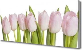 Obraz canvas Wiosenny Powiew Tulipanów