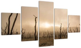 Obraz - Nagie drzewa (125x70 cm)