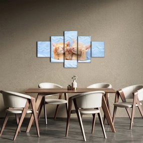 Obraz - Śpiące kocięta (125x70 cm)