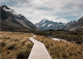 Obraz na szkle - Chodnik w dolinie góry Mt. Cook (70x50 cm)