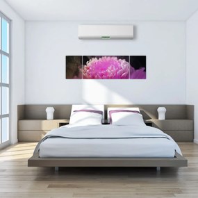 Obraz kwiatu w różowym dymie (170x50 cm)