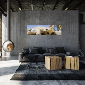 Obraz leżącego szczeniaka (170x50 cm)