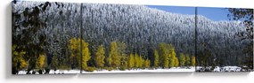Obraz - ośnieżone góry zimą (170x50 cm)