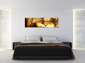 Obraz - słońce zachodzące za drzewami (170x50 cm)