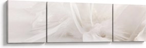Obraz - Pióro (170x50 cm)