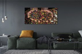 Zdjęcie na płótnie Przyprawy Świata