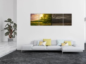 Obraz - Cykl życia (170x50 cm)