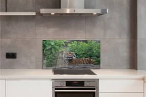 Szklany Panel Tygrys w Sercu Lasu