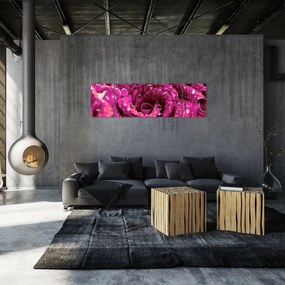 Obraz różowego kwiatu róży (170x50 cm)