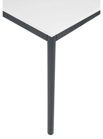 Stół jadalniany, 160x80 cm, ciemnoszara podstawa, biały