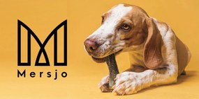 MERSJO kość do żucia z łososiem dla psa 13,5 cm – zdrowa skóra i sierść