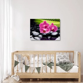 Obraz na szkle - Różowe orchidee z liściem palmy (70x50 cm)