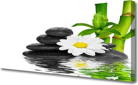 Obraz canvas Harmonijna Kompozycja Zen z Bambusem