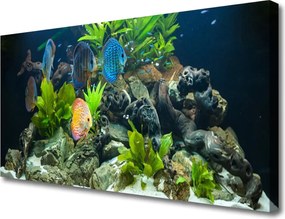 Obraz canvas Egzotyczne Ryby w Akwarium