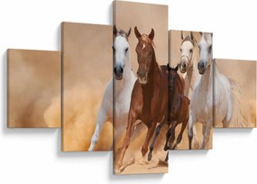 Obraz - Stado koni (125x70 cm)
