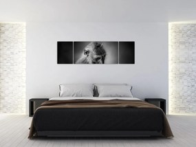 Obraz - Małpa (170x50 cm)