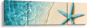 Obraz - Rozgwiazda na plaży (170x50 cm)