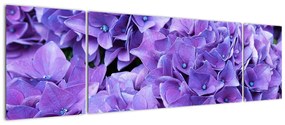 Obraz fioletowych kwiatów (170x50 cm)