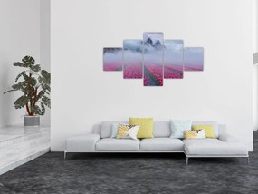 Obraz - Krajobraz z polami tulipanów (125x70 cm)