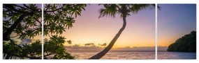 Obraz palmy na plaży (170x50 cm)