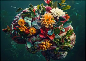 Obraz - Powód (70x50 cm)