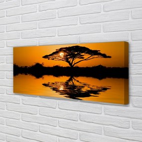 Obraz drukowany na płótnie Drzewo o Zachodzie Słońca