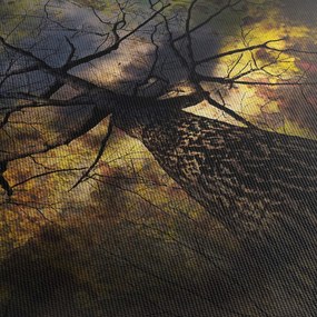 Obraz - Tajemnicze niebo (170x50 cm)