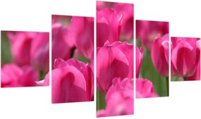 Obraz - Różowe tulipany (125x70 cm)