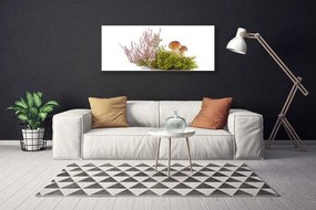 Obraz drukowany na płótnie Skarby Leśnego Poszycia