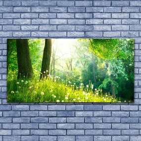 Duży obraz na płótnie Sielska Zielona Łąka